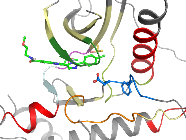 The orthosteric binding pocket