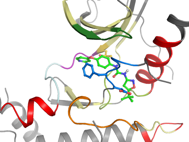 The orthosteric binding pocket