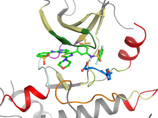 The orthosteric binding pocket