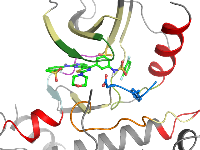 The orthosteric binding pocket