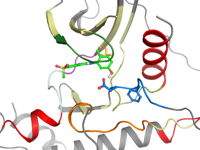 The orthosteric binding pocket