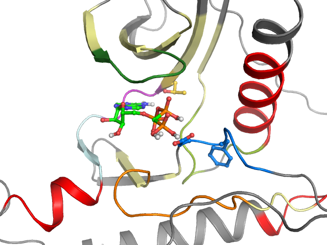 The orthosteric binding pocket