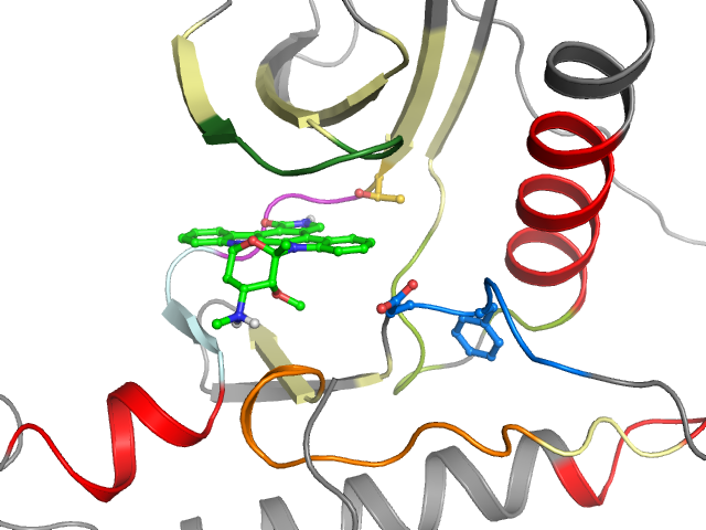 The orthosteric binding pocket