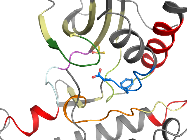 The orthosteric binding pocket