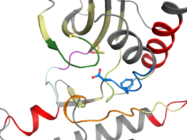 The orthosteric binding pocket