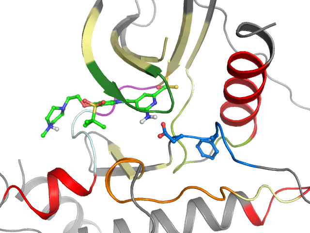 The orthosteric binding pocket