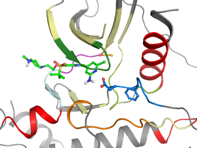 The orthosteric binding pocket
