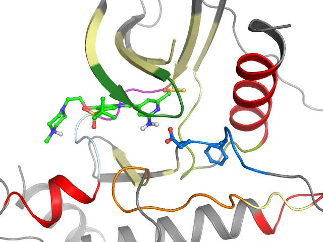 The orthosteric binding pocket