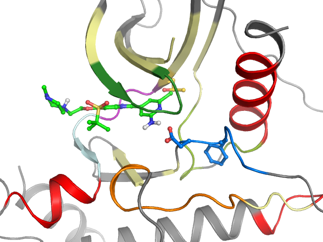 The orthosteric binding pocket