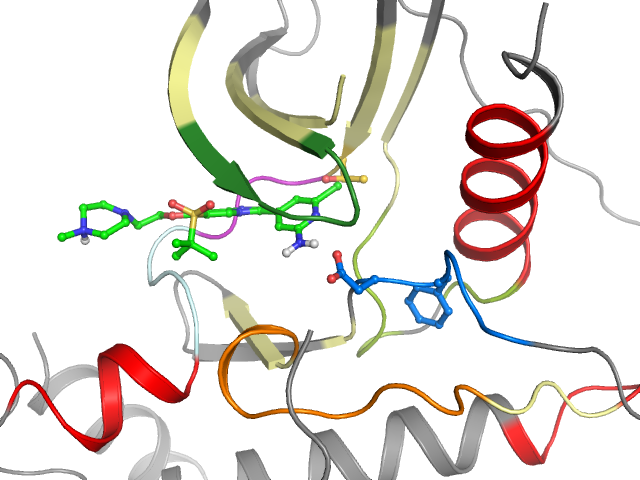 The orthosteric binding pocket