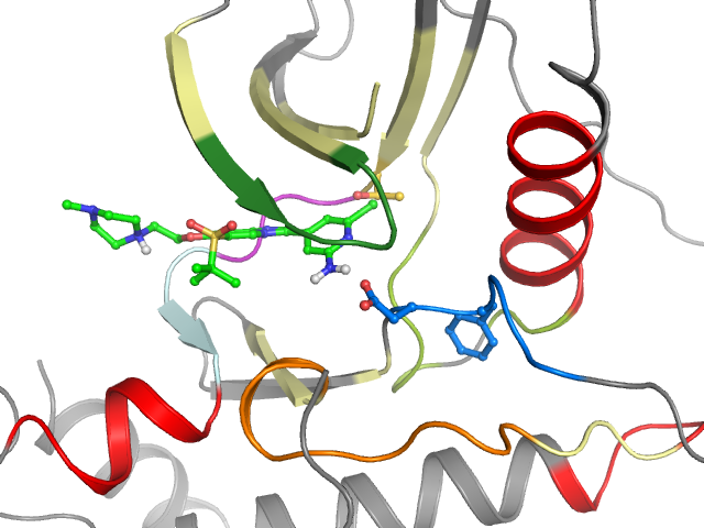 The orthosteric binding pocket