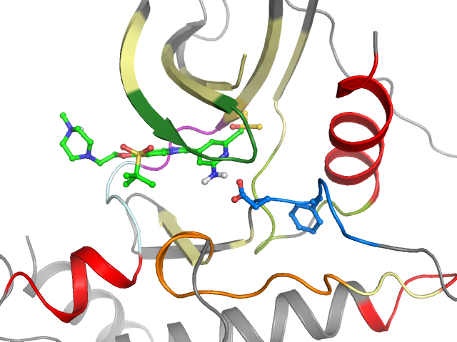 The orthosteric binding pocket