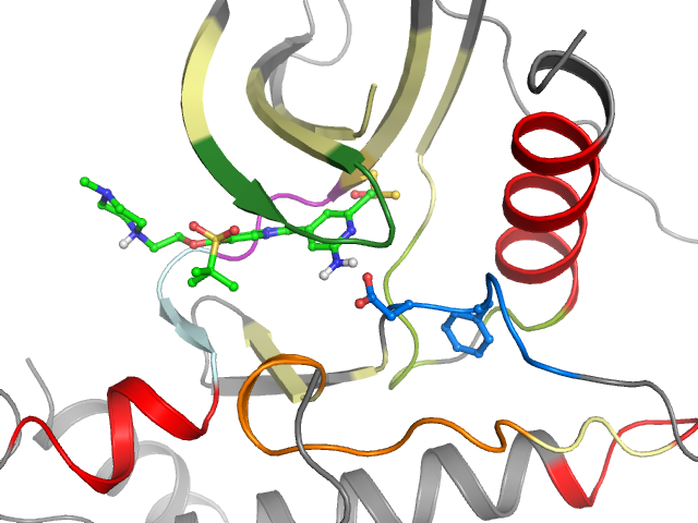 The orthosteric binding pocket