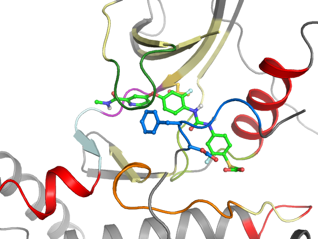 The orthosteric binding pocket