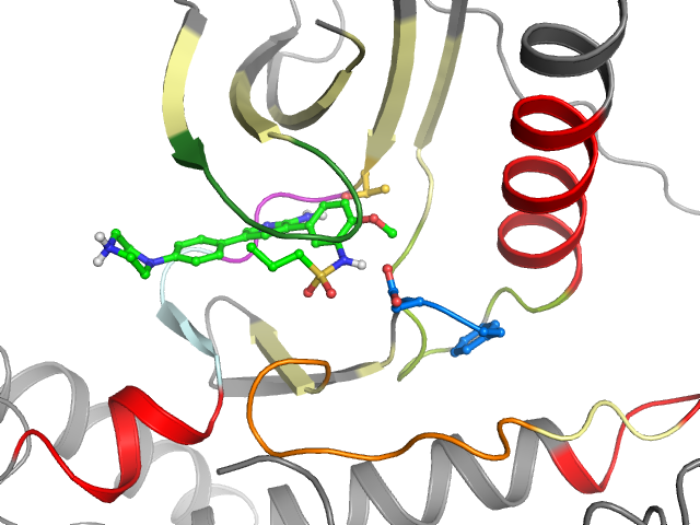 The orthosteric binding pocket