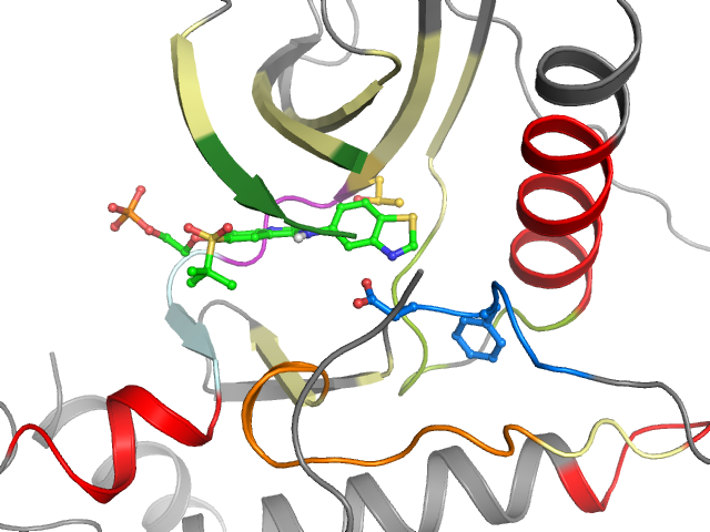 The orthosteric binding pocket