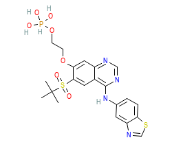 2D structure of the orthosteric ligand