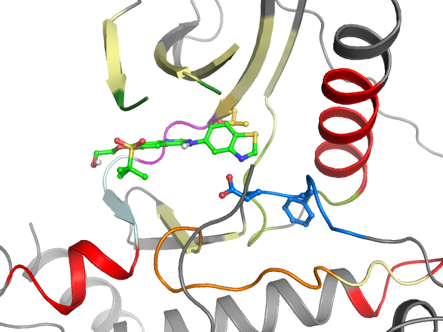 The orthosteric binding pocket