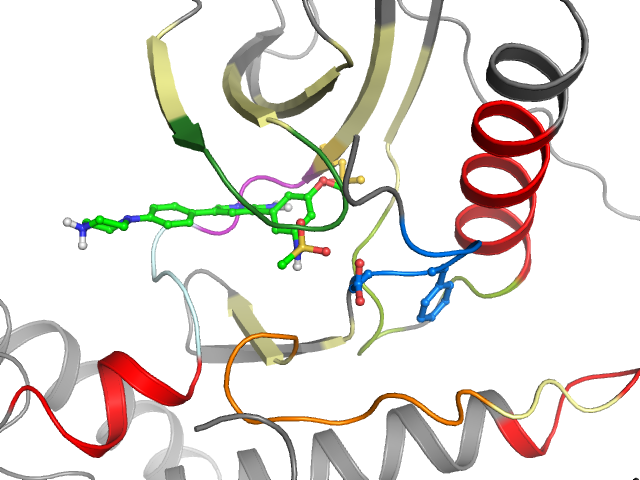 The orthosteric binding pocket