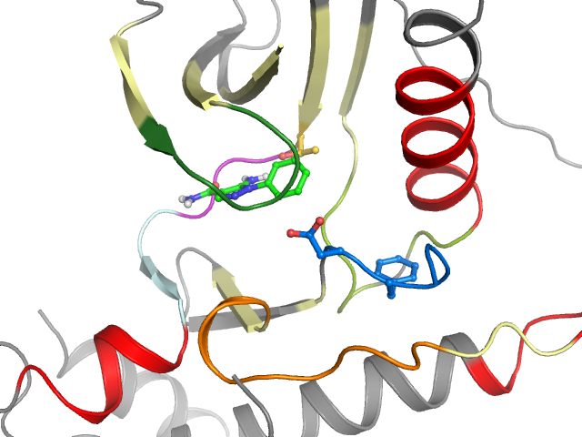 The orthosteric binding pocket