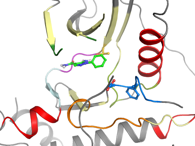 The orthosteric binding pocket