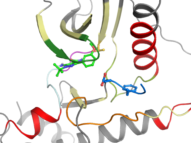 The orthosteric binding pocket
