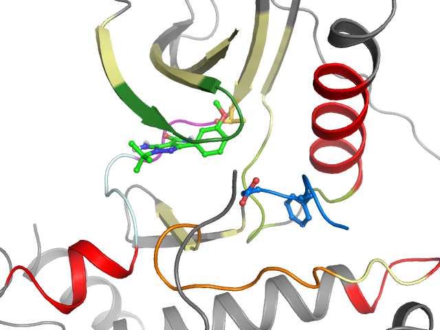 The orthosteric binding pocket