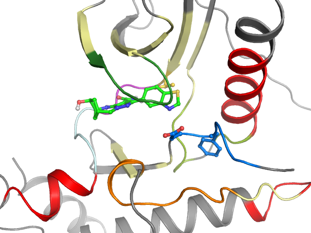 The orthosteric binding pocket