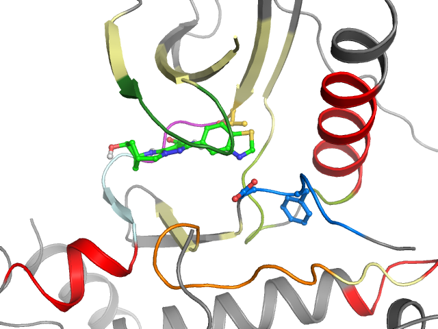 The orthosteric binding pocket
