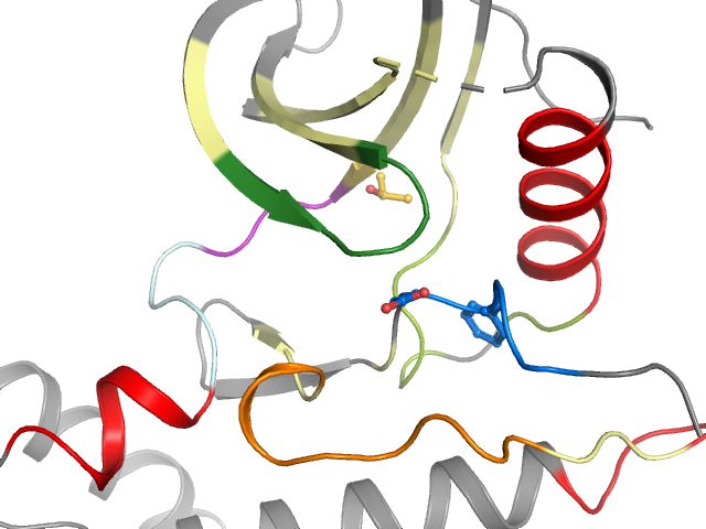The orthosteric binding pocket