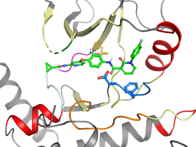 The orthosteric binding pocket