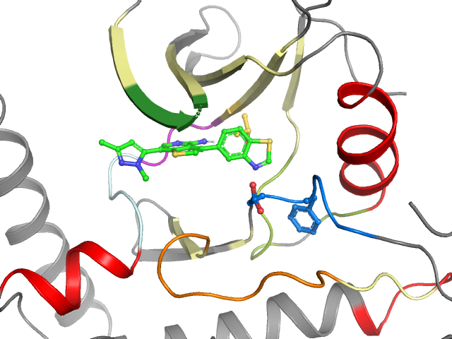 The orthosteric binding pocket