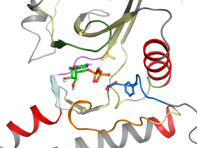 The orthosteric binding pocket