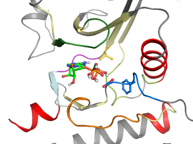 The orthosteric binding pocket