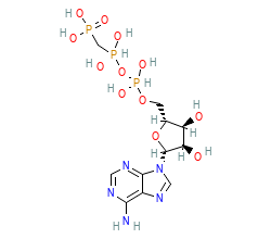 2D structure of the orthosteric ligand