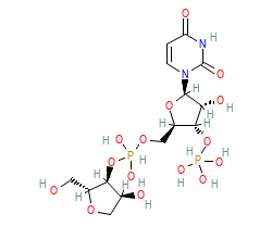 2D structure of the allostericligand