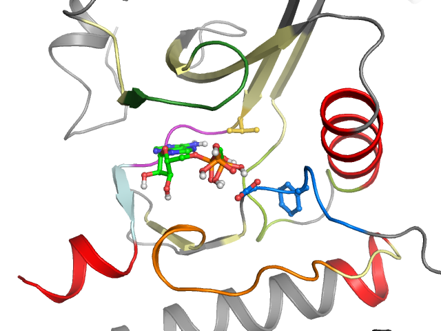 The orthosteric binding pocket