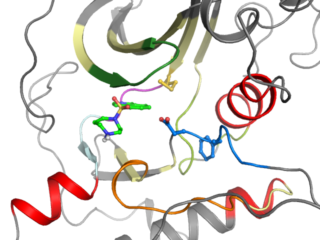 The orthosteric binding pocket