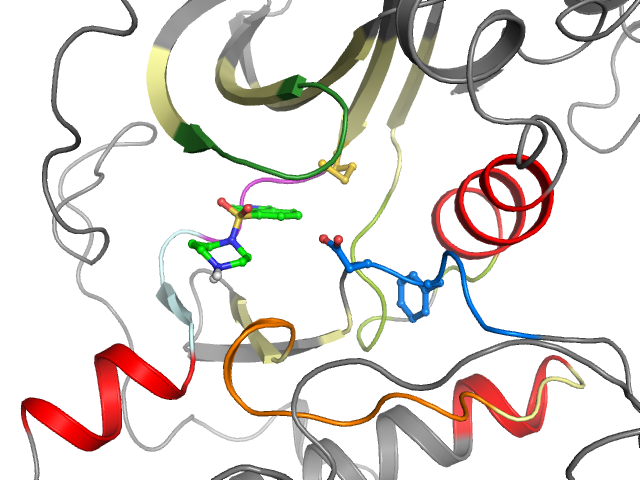 The orthosteric binding pocket