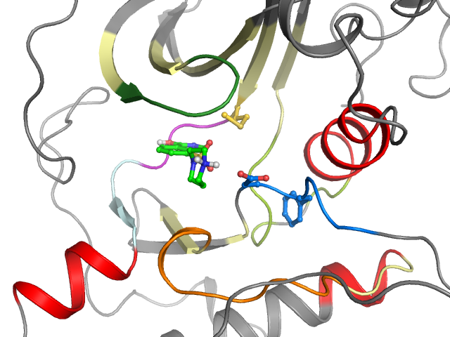 The orthosteric binding pocket