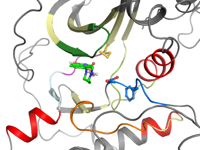 The orthosteric binding pocket