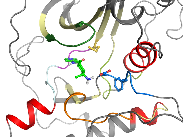 The orthosteric binding pocket