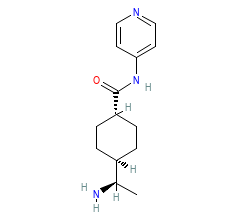 2D structure of the orthosteric ligand