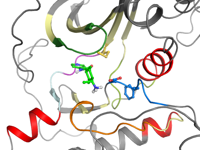 The orthosteric binding pocket