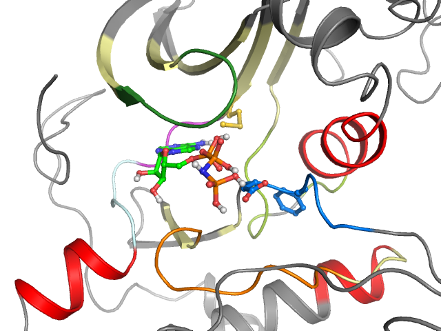 The orthosteric binding pocket