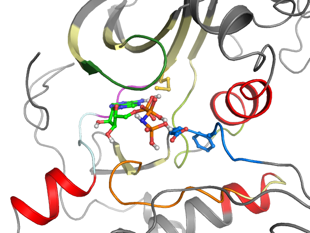 The orthosteric binding pocket