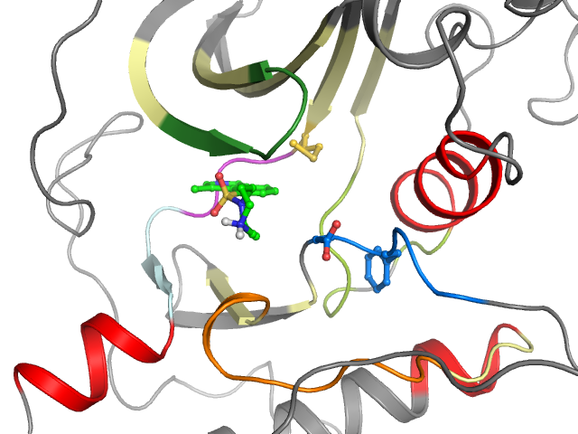 The orthosteric binding pocket