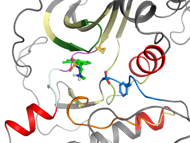The orthosteric binding pocket