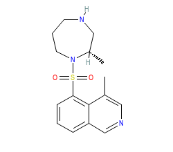 2D structure of the orthosteric ligand