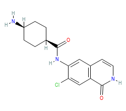 2D structure of the orthosteric ligand